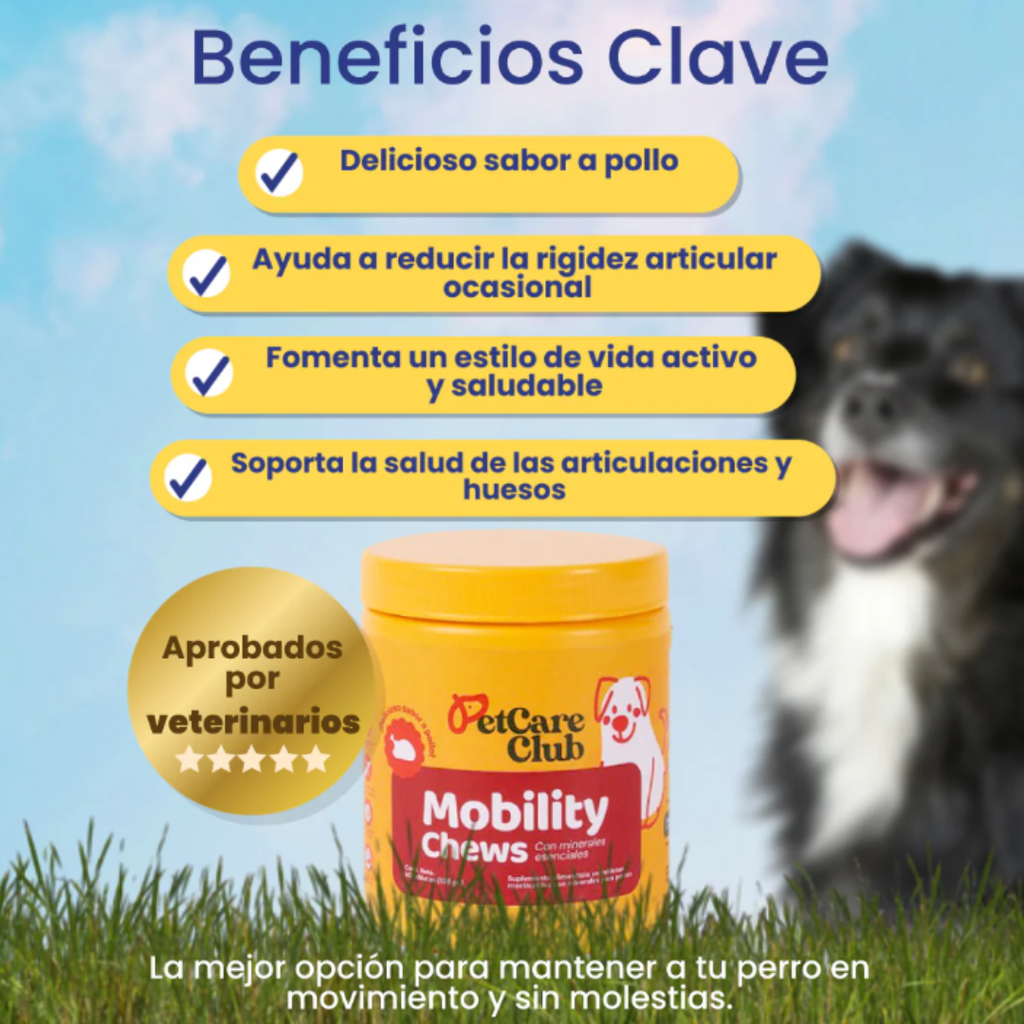 MASTICABLE PARA LA MOVILIDAD ARTICULAR EN PERROS