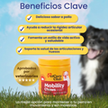 MASTICABLE PARA LA MOVILIDAD ARTICULAR EN PERROS