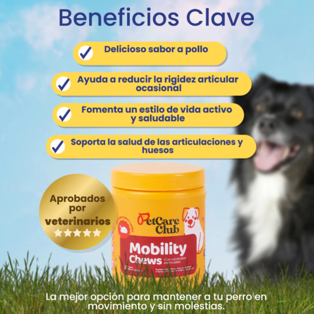 MASTICABLE PARA LA MOVILIDAD ARTICULAR EN PERROS