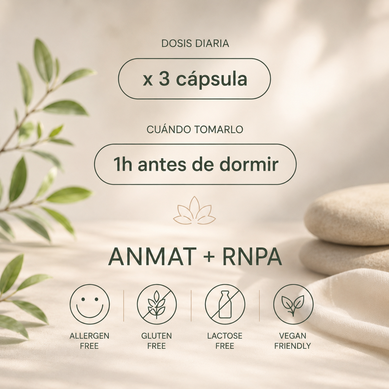 Descansar profundo. Despertar renovado