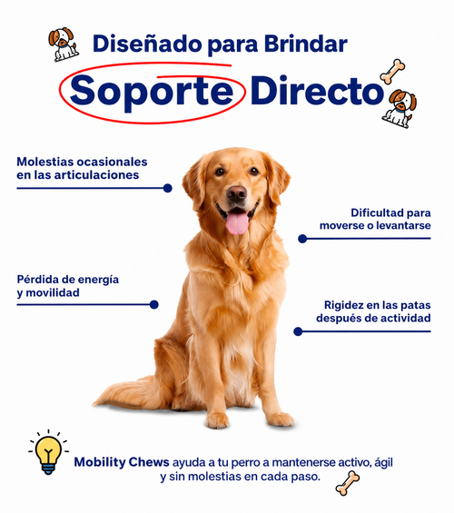 MASTICABLE PARA LA MOVILIDAD ARTICULAR EN PERROS
