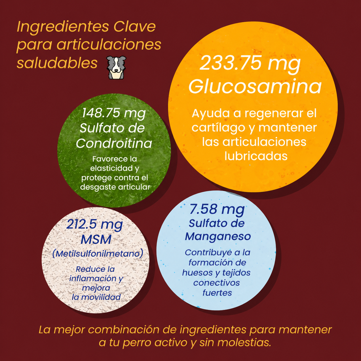 MASTICABLE PARA LA MOVILIDAD ARTICULAR EN PERROS