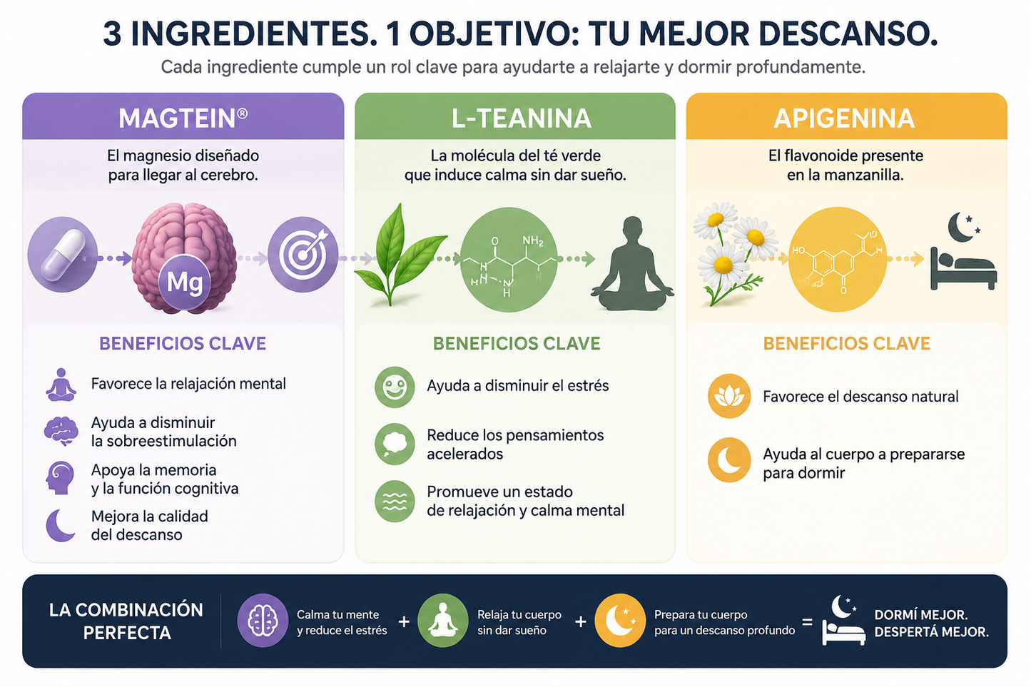 Descansar profundo. Despertar renovado
