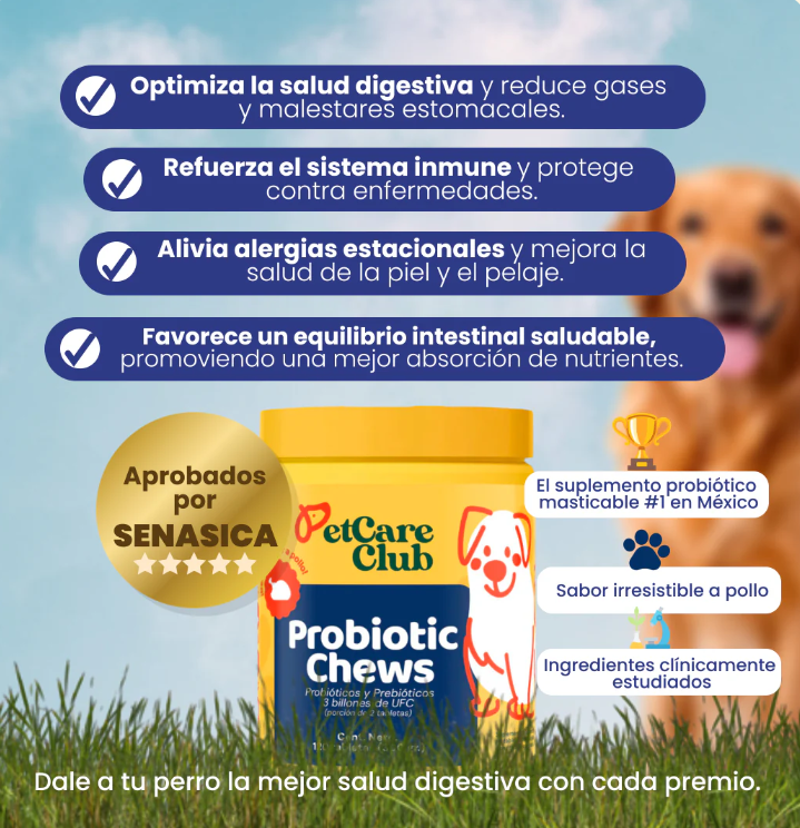 MASTICABLE PARA LA SALUD INTESTINAL EN PERROS